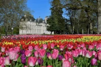 castle tours from paris