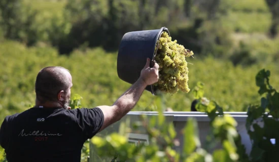 Fête des Vendanges de Montmartre 2025