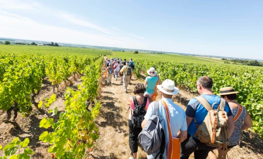 Wine Tour in Touraine from Paris in a Private Minivan